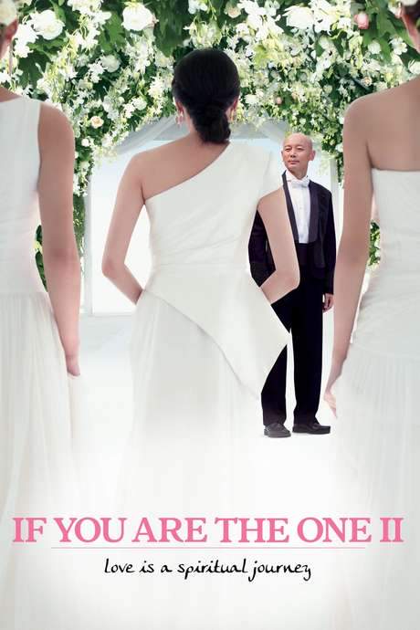 If You Are the One 2